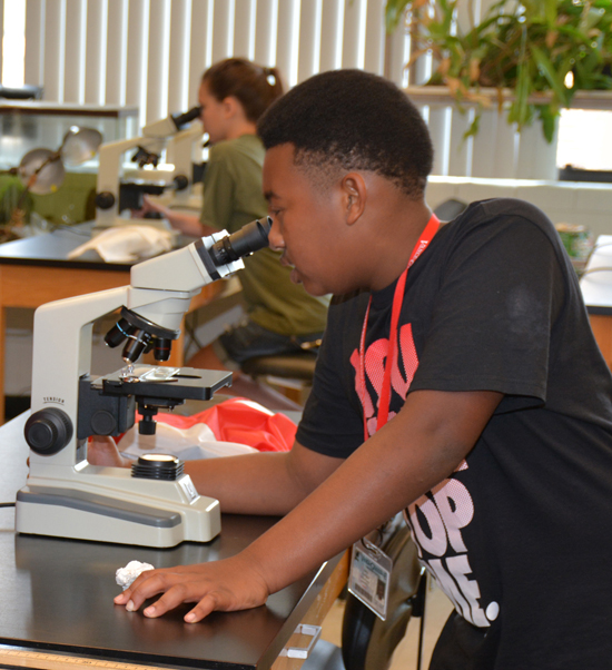 Science Camp participant Zelton Thompson of Henderson views a protozoan (a type of microorganism) under a microscope. 